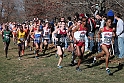 2012NCAA XC-119